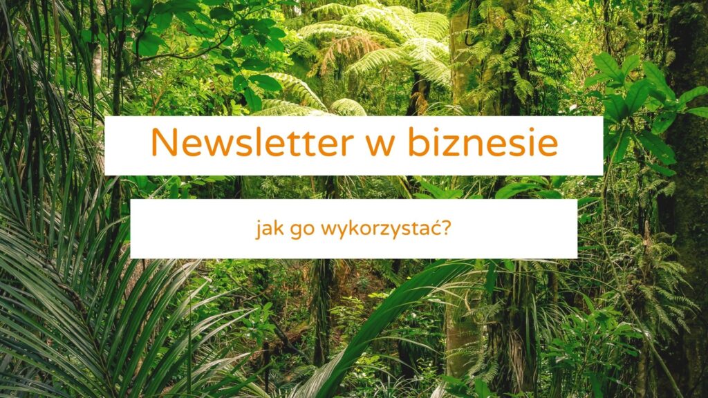 newsletter w biznesie co warto publokować okładka wpisu