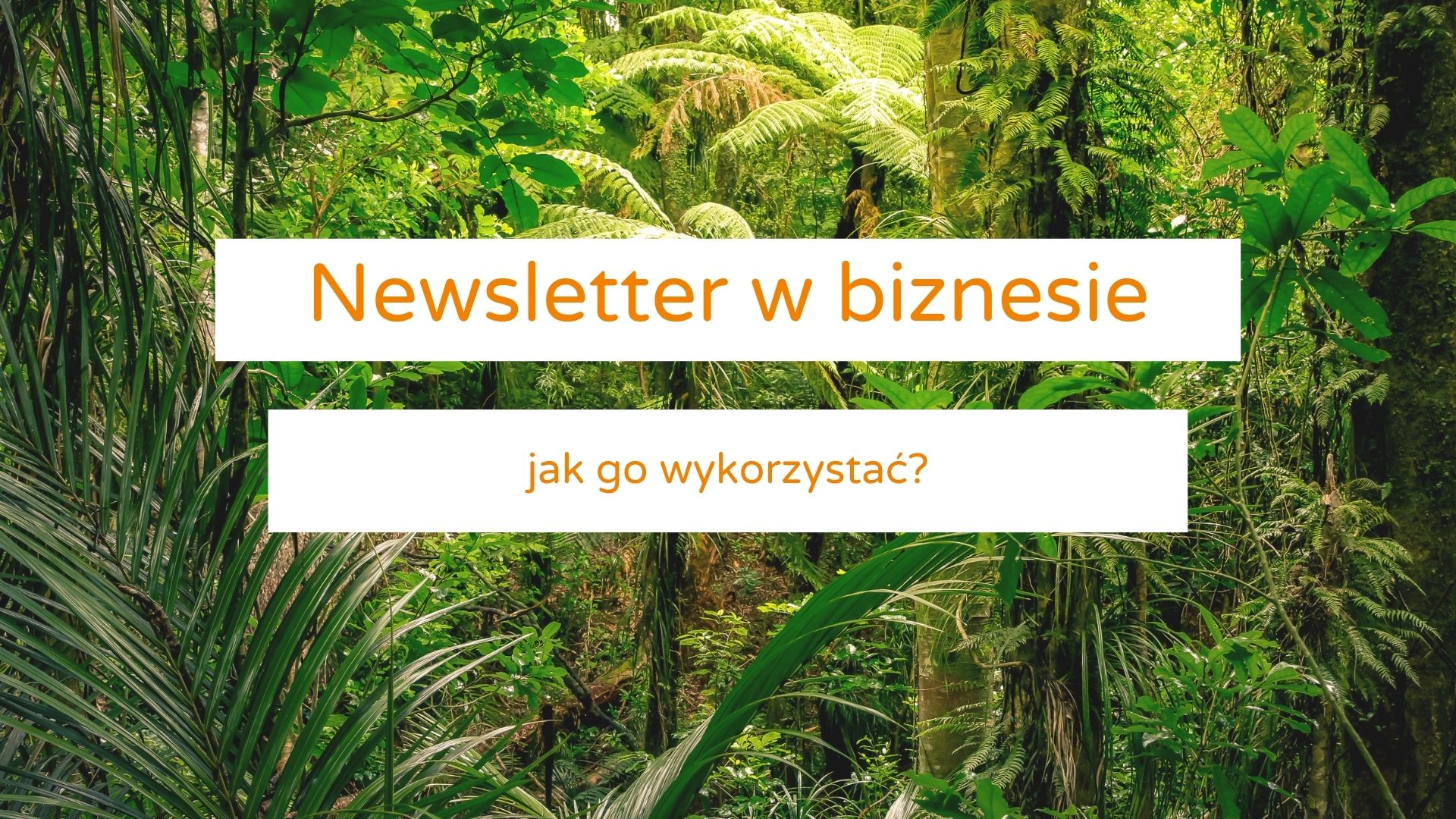 newsletter w biznesie co warto publokować okładka wpisu