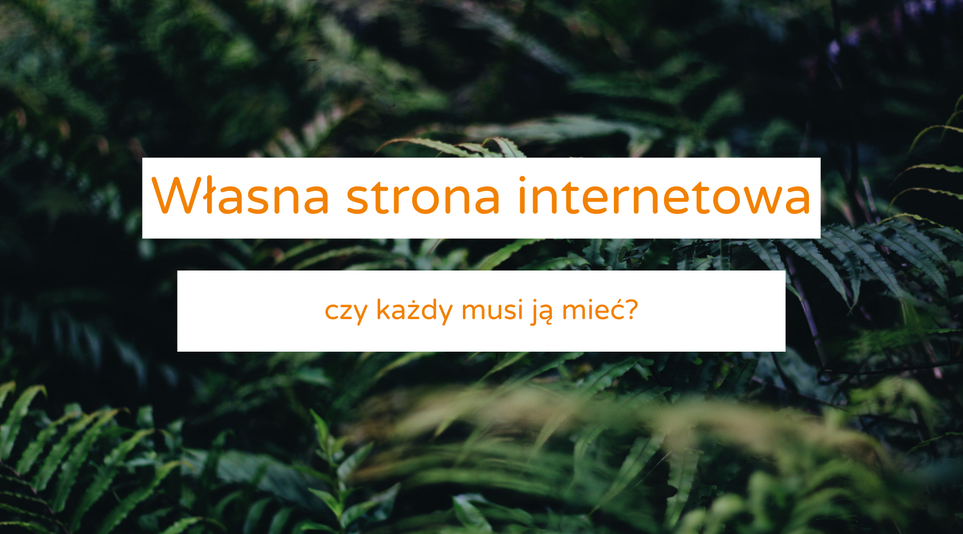własna strona internetowa - czy każdy musi ją mieć