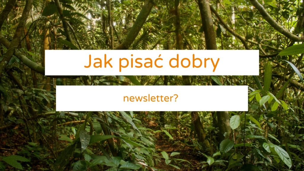jak pisać dobry newsletter social apes marketing