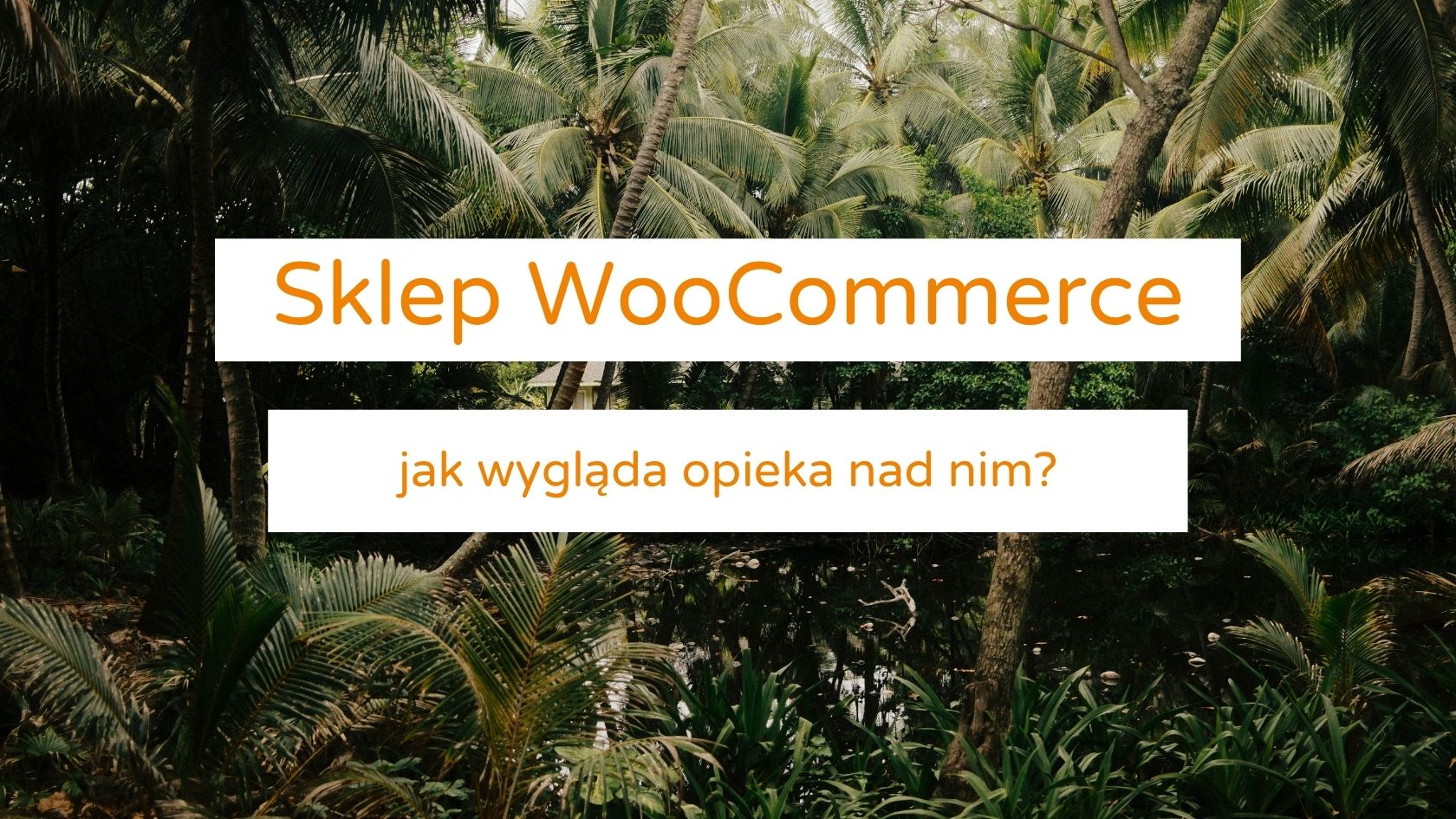 opieka techniczna nad sklepem woocommerce social apes