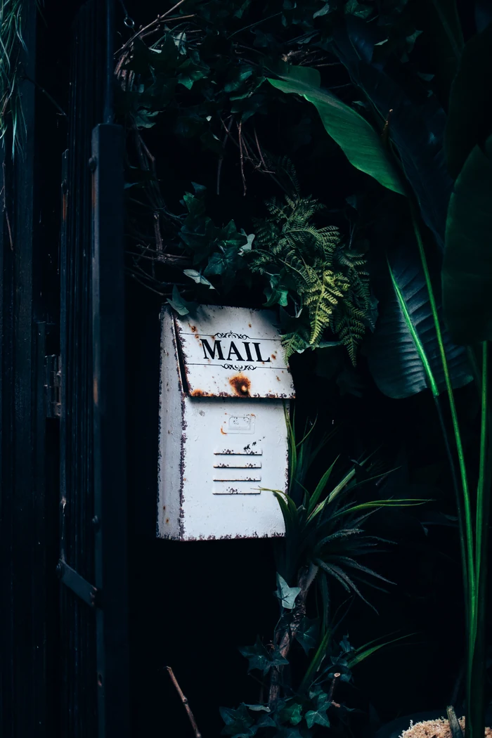 Biała skrzynka pocztowa z napisem MAIL wśród tropikalnych liści