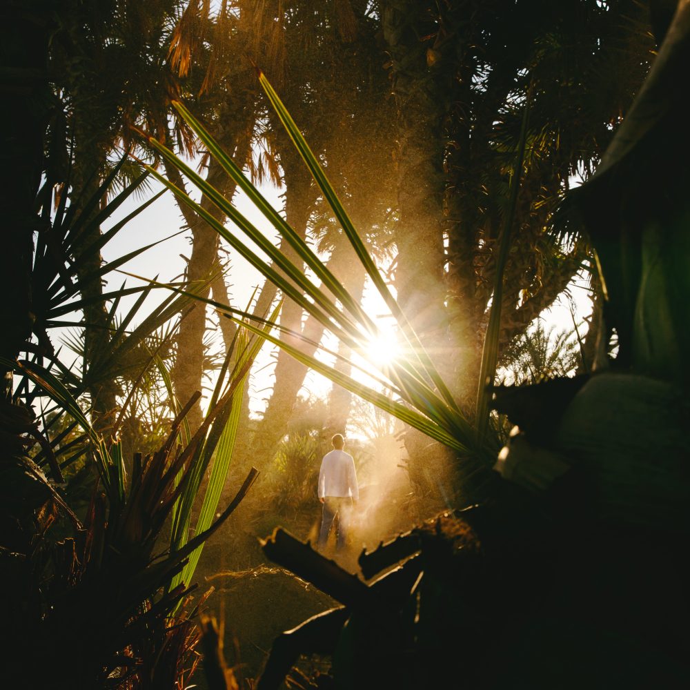 konsultacje indywidualne social apes marketing